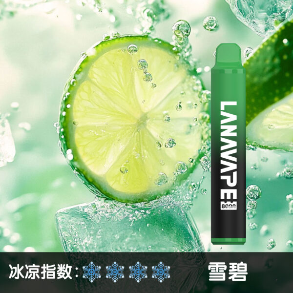 LANA ZOLT抛弃式8000口一次性✨可充電🔋超大容量👍時尚單品🔥活動滿10送1